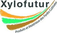 XYLOFUTUR